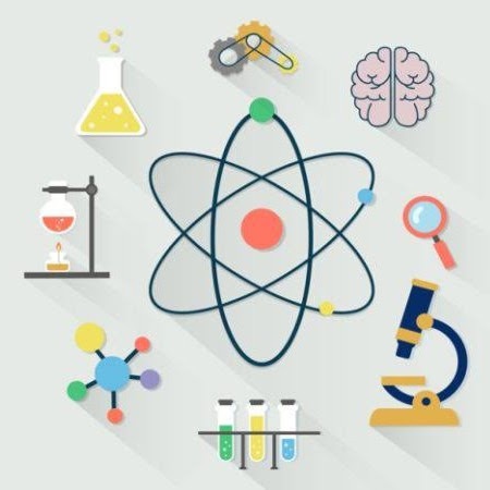 Educational Insights
